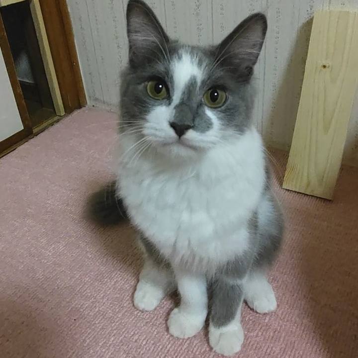 5e1d1b1b 54c6 4488 94e7 760837cd79ab 1571092417701