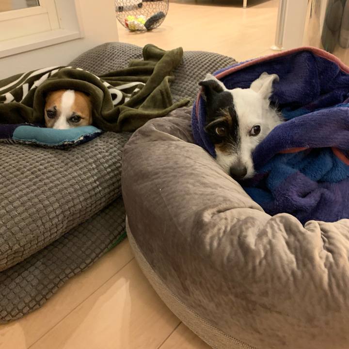 5e1d2dc3 88c0 4aa6 b72c b4a4772203e2 1583234690057