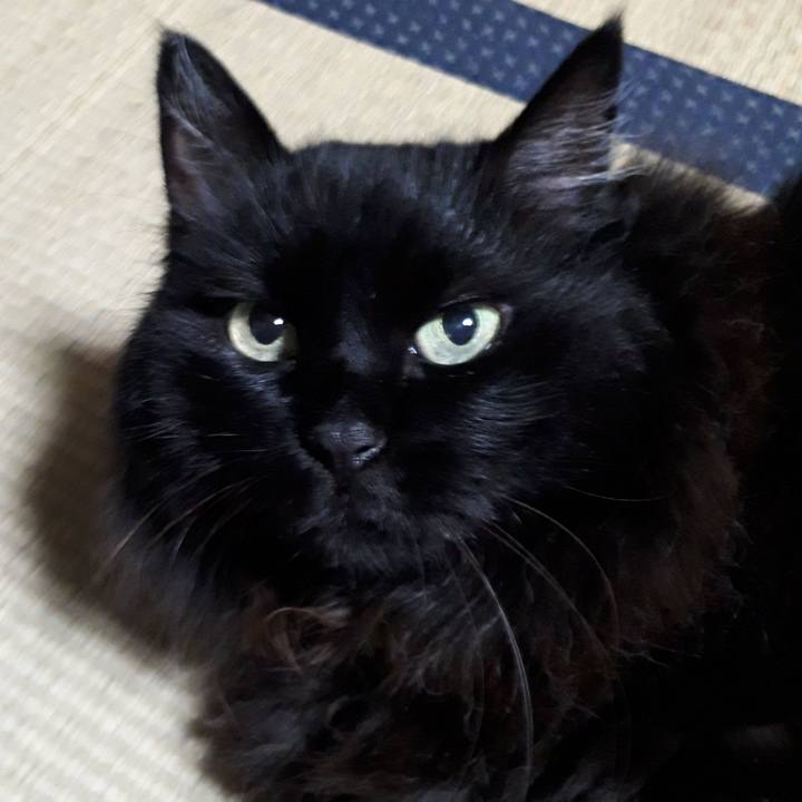 5e1d4cc3 fca9 4a34 9f42 e4810a9bf0f6 1533227676431