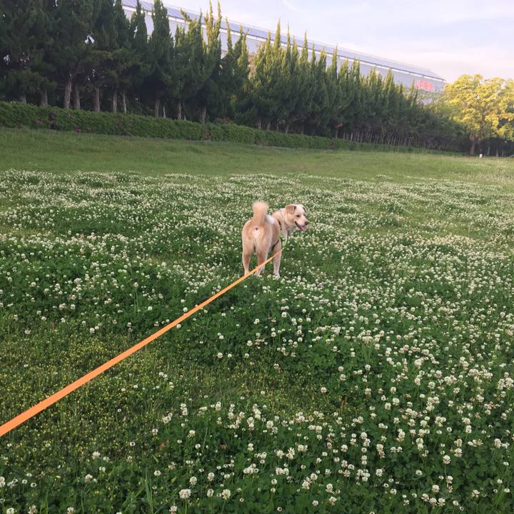 5e1d7346 2982 49f6 a688 d744a309ccea 1524388498365