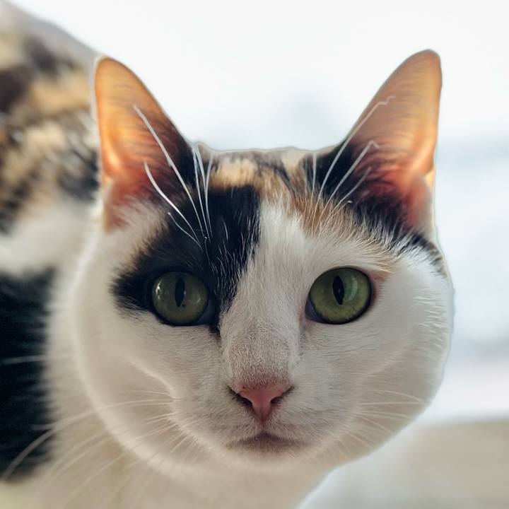 5e1dc686 41b6 4b22 a9fa 87fd6c119e8e 1680572146230