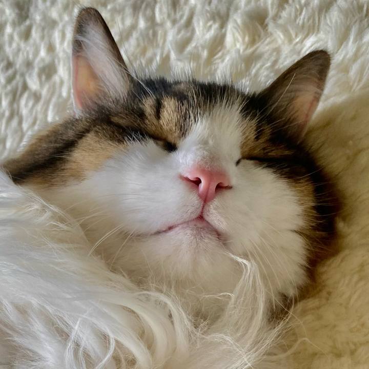 5e1dd906 8def 49c2 8d02 18931ffd33d6 1691549941462