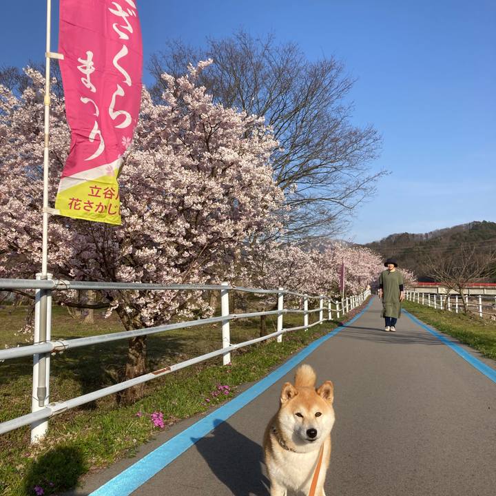 5e1dffa8 6c6e 454f 9ffb c31cb7661f8c 1713008746713