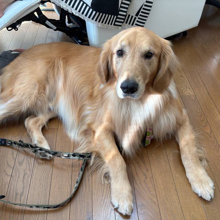 5e1e0944 85b7 4f83 bc7c 700155703fe3 1773472972972