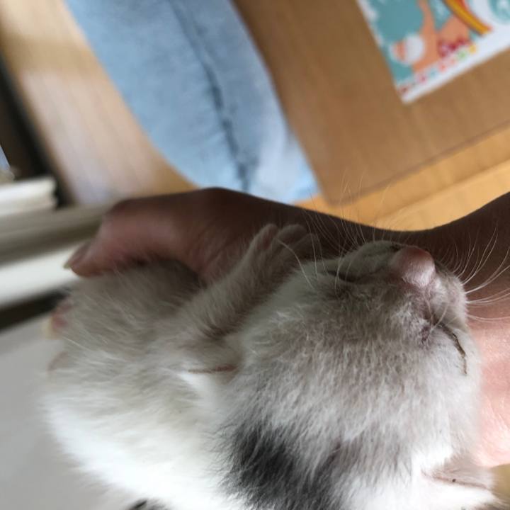 5e1e0bcb c72a 4a2c afc4 077dbe626fd8 1589679995515