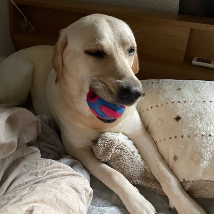 5e1e47da ede1 4eff 93e0 da0ab9f04604 1636676877185