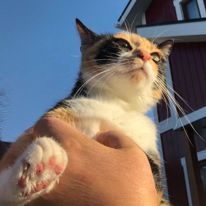 5e1e58da 8222 4a86 8087 0910cdd83053 1603270114350