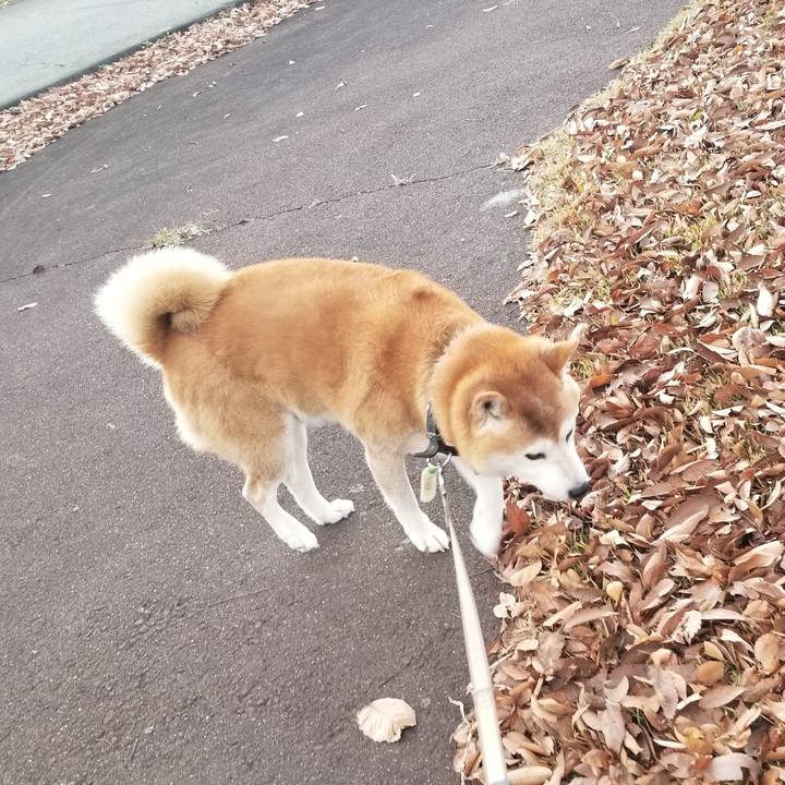 5e1e6089 b5c4 490f 8c99 975be948bd5a 1669013910628