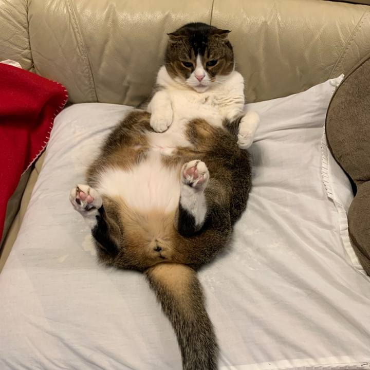 5e1e6fc1 7e09 49aa a60c 301137525d7c 1648308247732