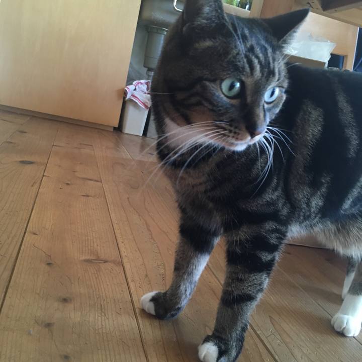 5e1e8b6d fc64 4447 8b31 7bd56f949117 1582503367723