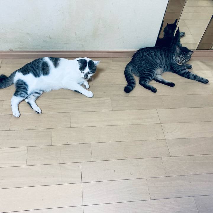 5e1ebfe3 57c7 4eee a627 574e82ad48e8 1628047197008