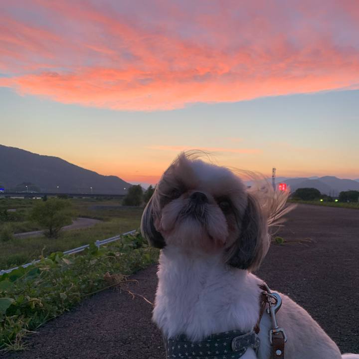 5e1f15d8 762d 4e93 9829 d1876e71040a 1592216407184