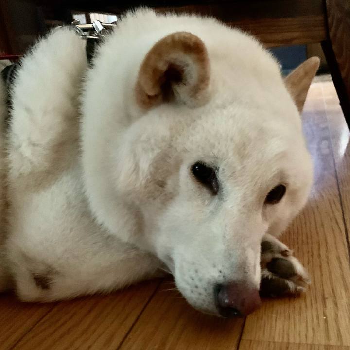 5e1f4340 9c95 4b13 b099 5a335a05400f 1628543427720