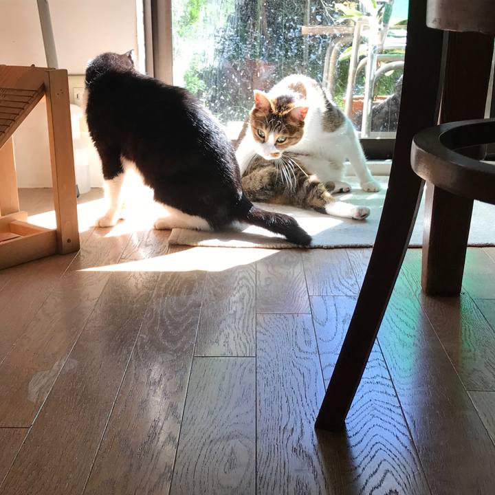 5e1f68f6 eb44 4c57 87f0 314620d46c4c 1508923843983