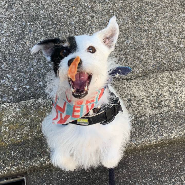 5e1f8843 5936 4c5a ae78 09317a8675dd 1753743294397