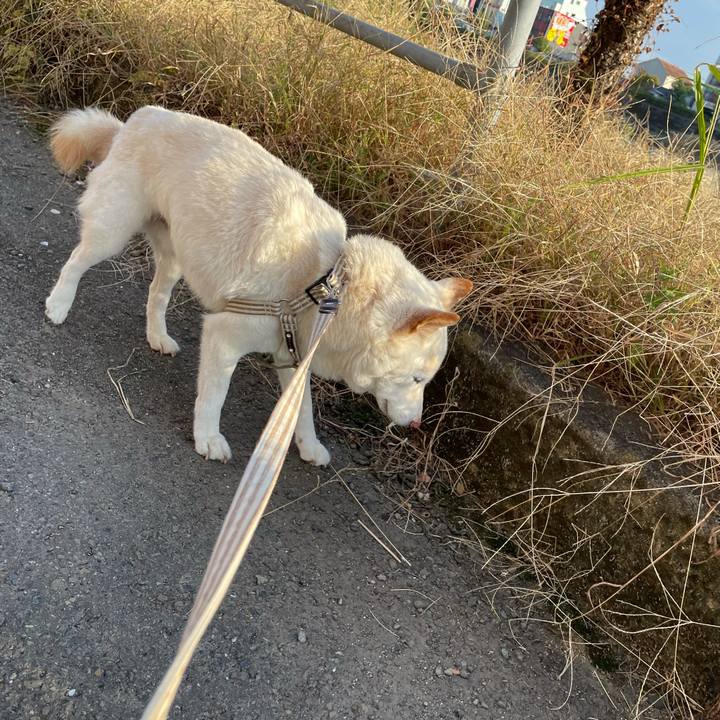 5e1f9721 093d 4526 aa9f ce6e7b386f54 1637220226961