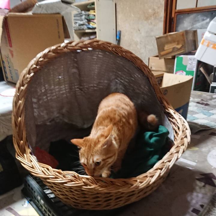 5e1fb972 b84f 4887 bf74 d991aa523e46 1642501036965