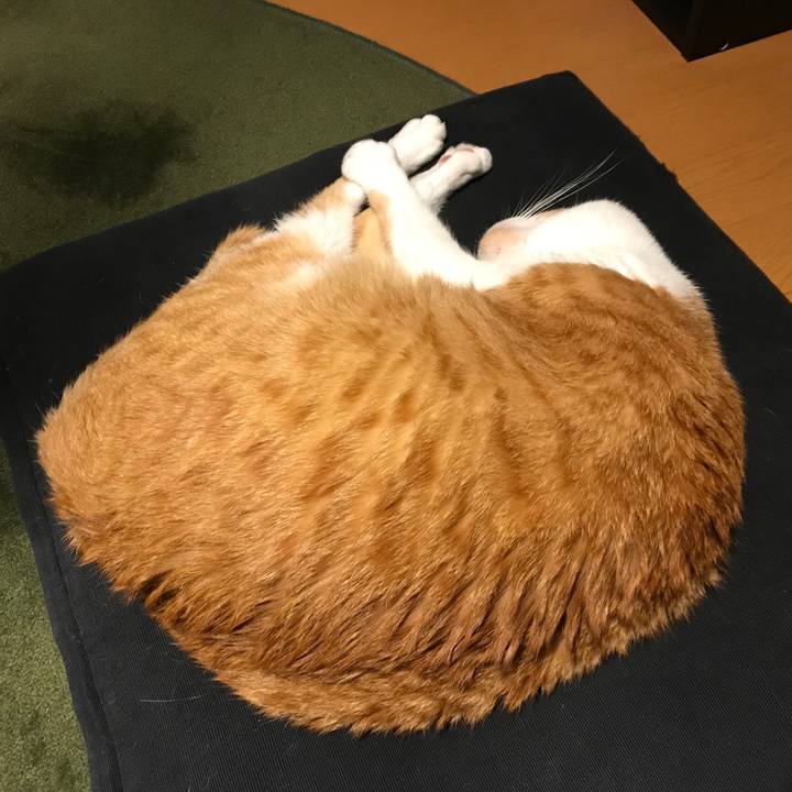 5e1fde6b b419 40da bd79 9b2f3d5f28ea 1568348699842