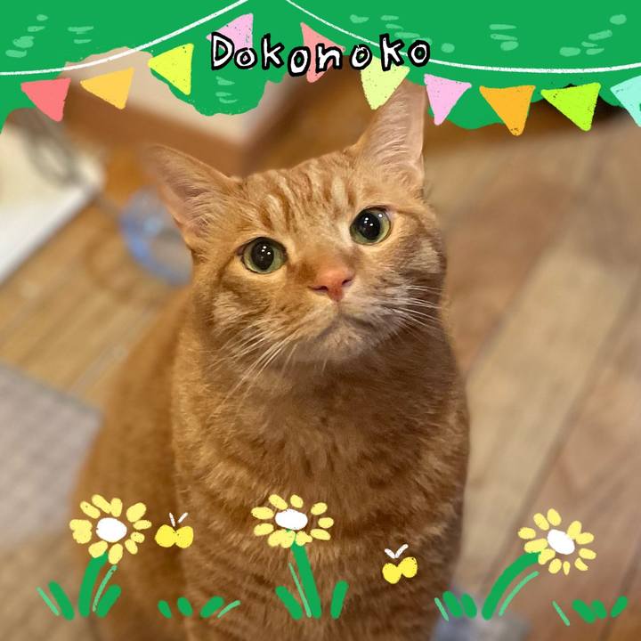 5e1fdfcb 760d 424d ae05 ba7ada052f75 1711365567560