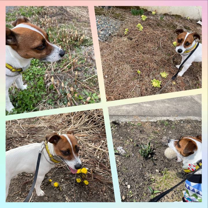 5e1fe52c 2239 4743 951c 7bd49137422f 1649330706734