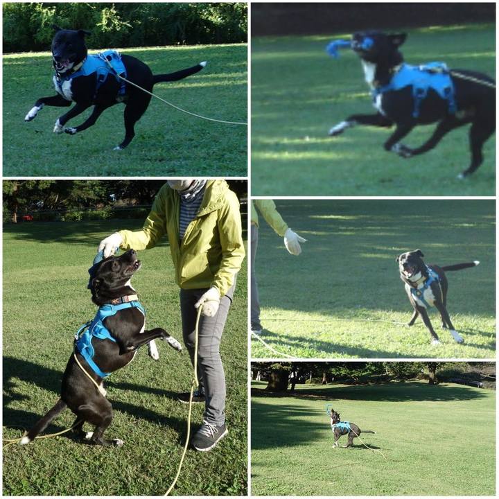 5e1ff3ff fc6f 4999 931c 906d72b8b85d 1634518863804