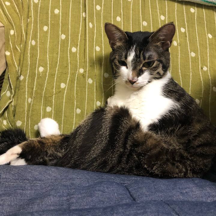 5e200bcc a623 49cc ad64 49ffa7b60f95 1540019597653