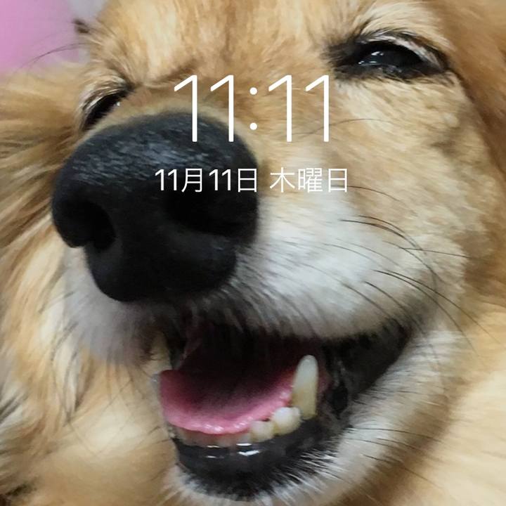 5e2050b6 22c2 4e29 94a0 a15af8f1503b 1636626768680