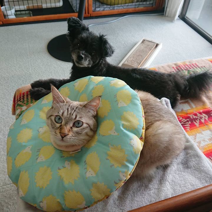 5e20576d 0d92 4af2 9f91 1c8f51b5d910 1601189224055