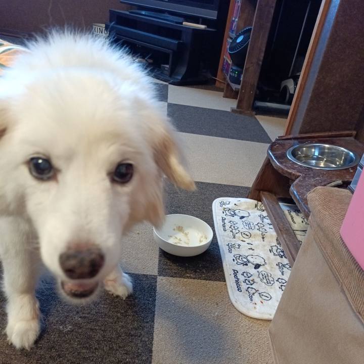 5e206f05 2e14 45fb be22 e3e9a6416b47 1754296470482