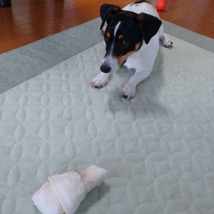 5e209752 fba4 4aed a4c1 9ec4b0f0bb23 1590890524237