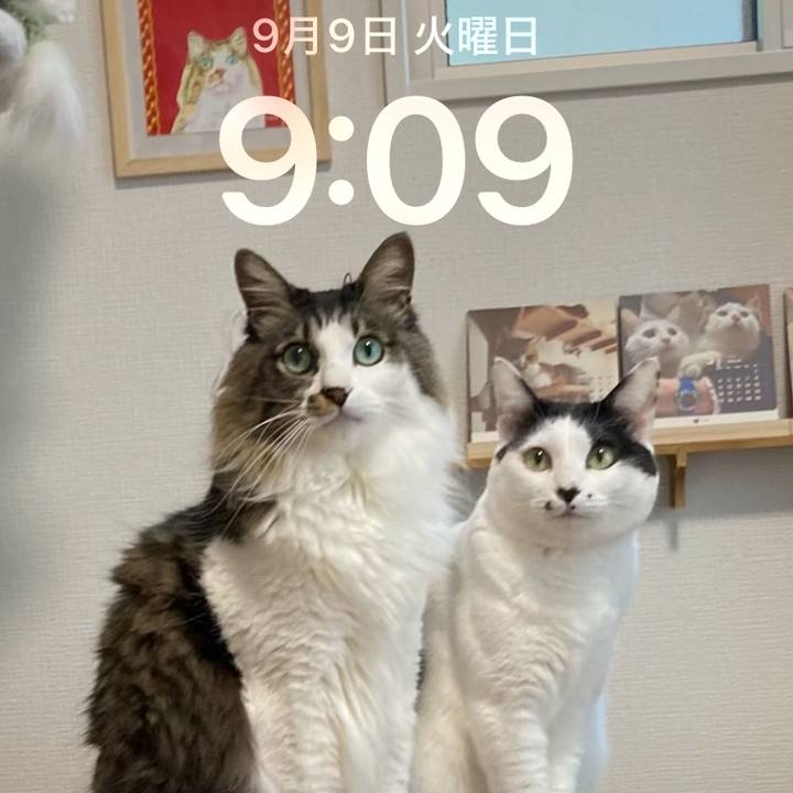 5e20b224 0eb4 404d 82f9 7316daa9fdb3 1757376608246