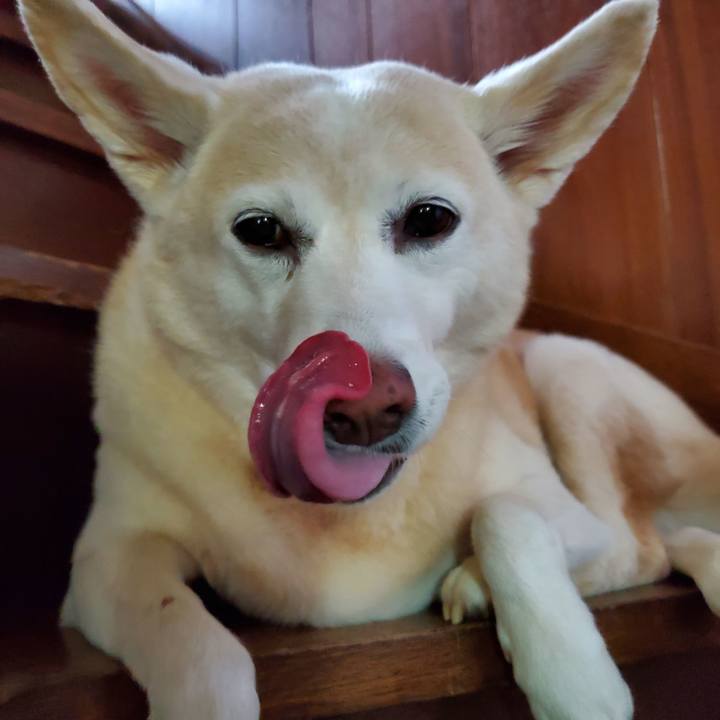 5e20b2c9 f2b4 478b a4ac f47cdcbabb4d 1596567018151