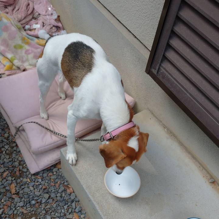 5e20d2ac 032d 4978 84cd 341ff8015c8e 1576811578630