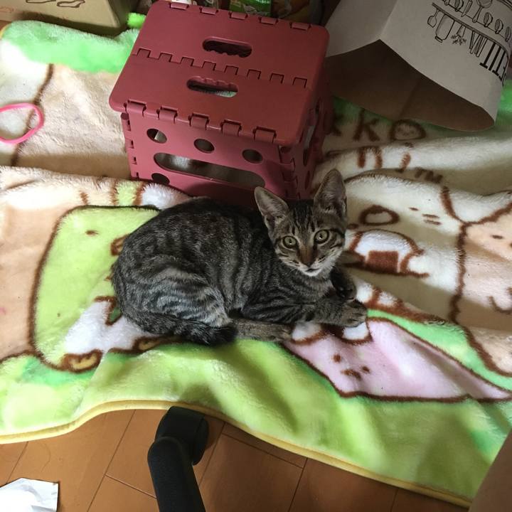 5e20e71c 6c63 4f7d 8df5 687fadce6db7 1536805143977