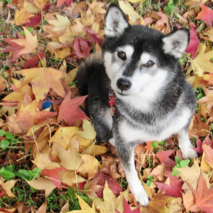 5e20ee51 0252 4b09 8307 50dcd76e3339 1667617551443