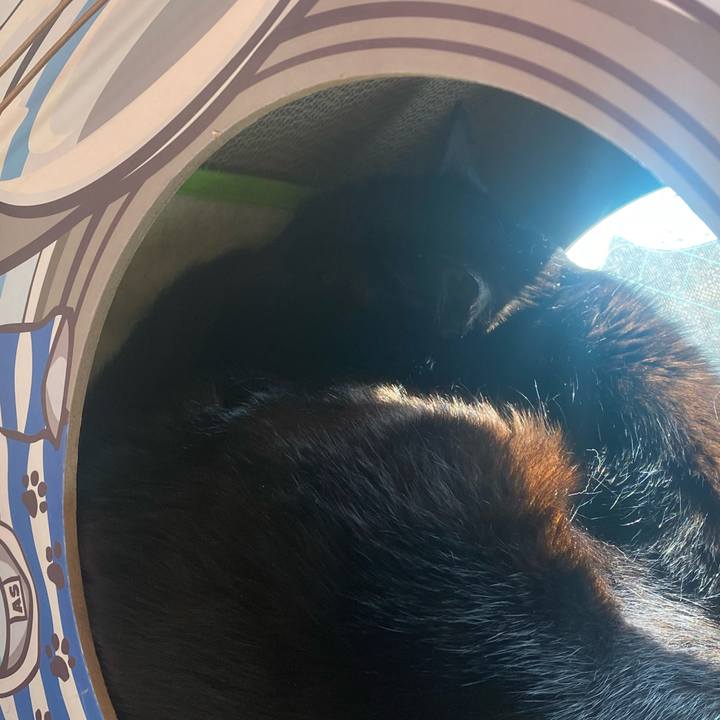 5e2120dd 0cda 41db 91b9 7fd9027b3c11 1738985229460