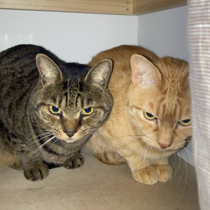 5e214416 f967 42e0 bf7a 9b76492ad9ed 1771026918609