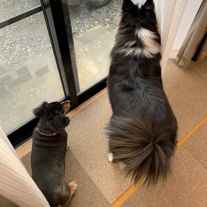 5e2165e2 a778 420a b800 64cf57269219 1585172083161