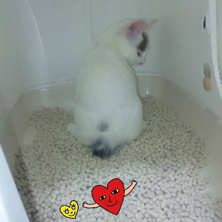 5e21955d 0bf7 442b 864b 24be87dd4bc7 1575630104988