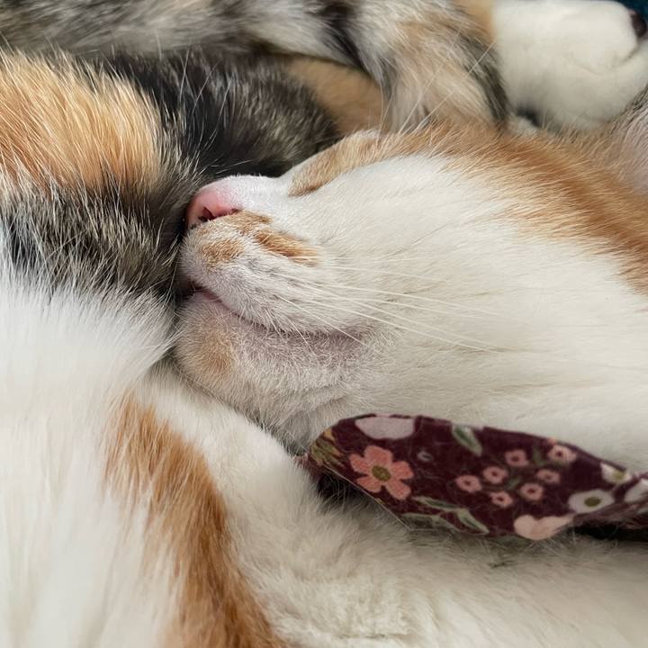 5e21a075 871c 4f81 a7b6 06bbc21ce1f1 1743222184306