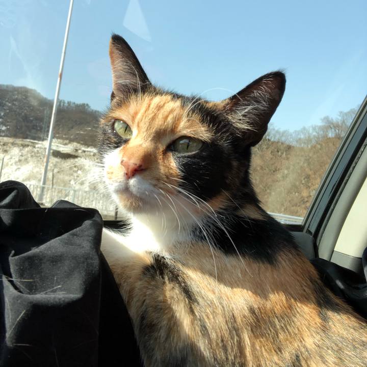 5e21a788 5448 4224 8108 085b86d7a938 1647509700253