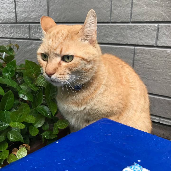 5e21bbd0 0ee2 47bb 9eac b7c365fe6712 1524556744161