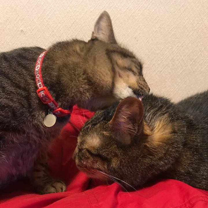 5e21bdfe 94d8 4924 b11b 62aa23c98726 1634825324673