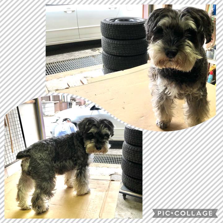 5e21db8f 1d5b 45b7 b352 9203b41dd06d 1637554539703