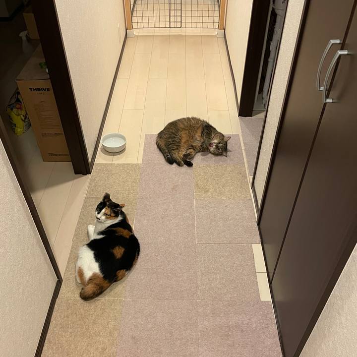 5e21de8f ba97 4a85 a391 bf73d8ff110d 1630490843984