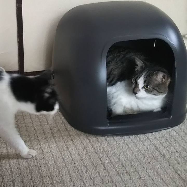 5e2221a9 7cbc 46f5 8d71 2b3402776ac4 1624513705570