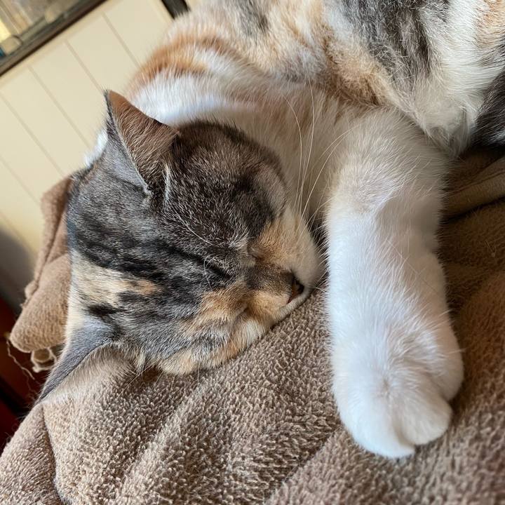 5e228011 e7aa 4a78 a7a7 24e060e02327 1612422504515