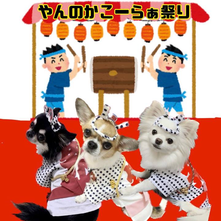 5e228363 b2b9 49fe a8ea 13e984c6cf5b 1663450774586