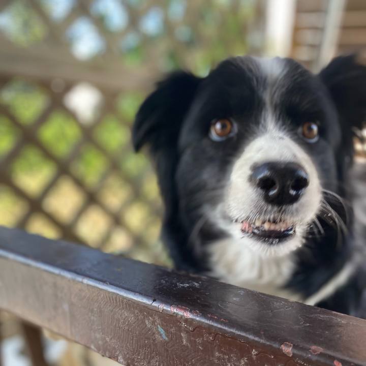 5e229493 96dc 40f0 bde8 27ae47c36a26 1624948925773