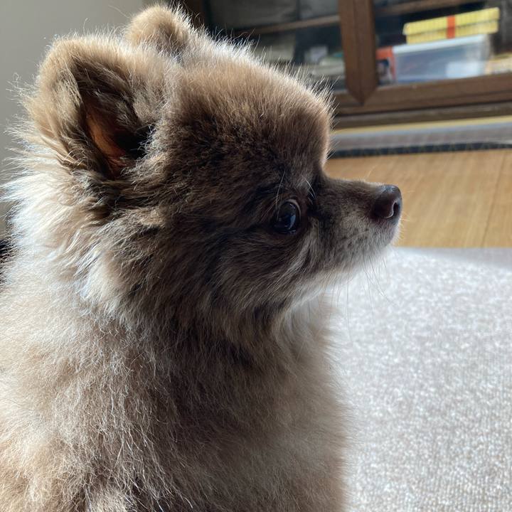 5e22d997 6221 4bc2 bede 71f27f562215 1648003904864